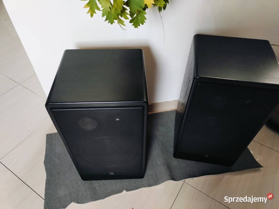 Canton CT1000 Rurzyca sprzedam