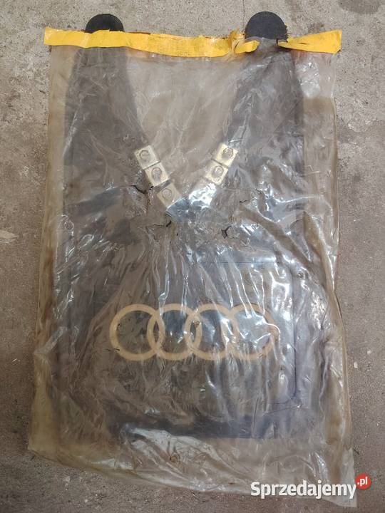 Błotochron Chlapacze Audi 2 wielkopolskie Kłodawa