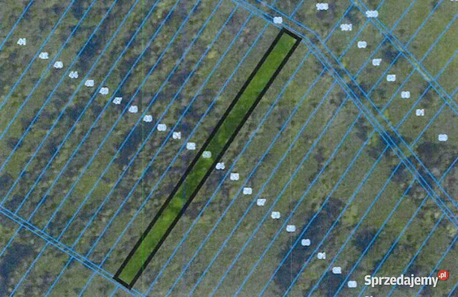 Syndyk sprzeda Udział w nieruchomościach w 17240m2