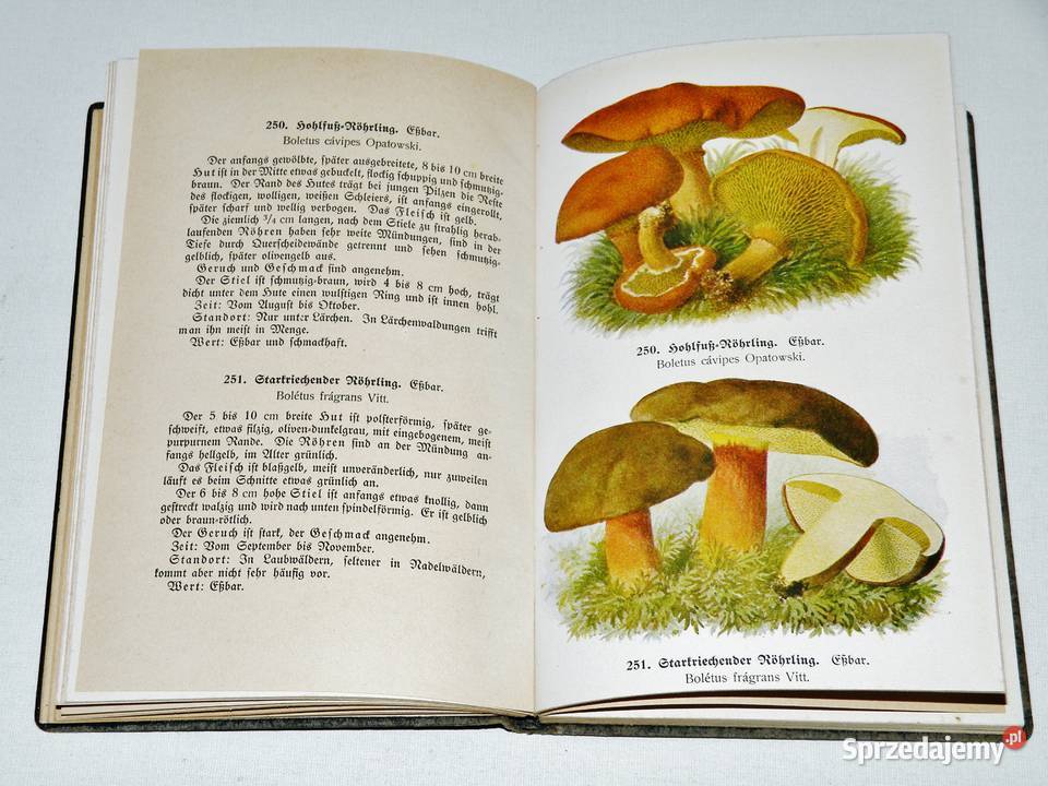 Fhrer fr Pilzfreunde E Michael Tom 3 Wyd B Bydgoszcz