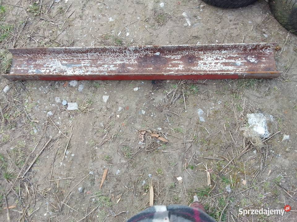 Teowniki warmińsko-mazurskie Pisz