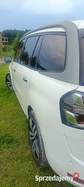Citroen C4 grand Picasso 16 bluehdi SELECTION 1 Wilcze