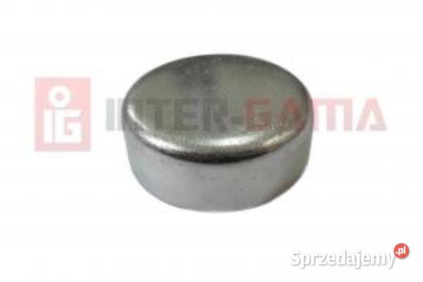 Pokrywa Prowadnicy 37 x 11 mm MERITOR D3 C LISA Motoryzacja Tyczyn