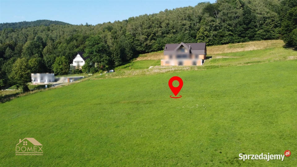 Grunt na sprzedaż Brenna 4165m2 Grunty i działki śląskie