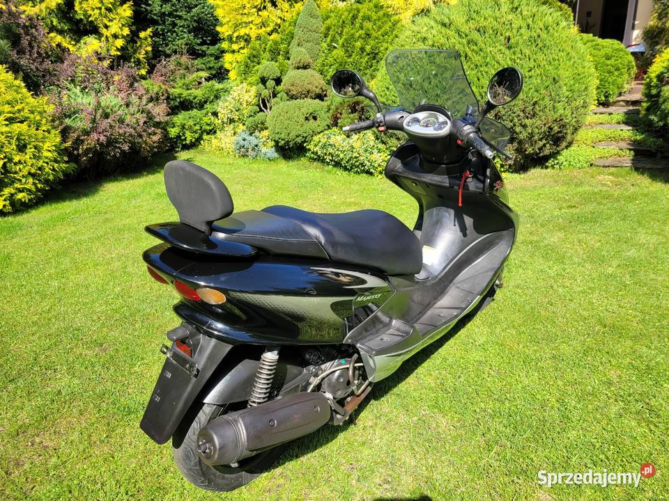 YAMAHA MAJESTY 125 SP LIMITED EDITION katB prawa