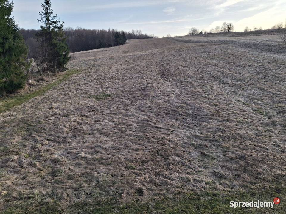 Działka rolno budowlana 10zł/m2 małopolskie sprzedam