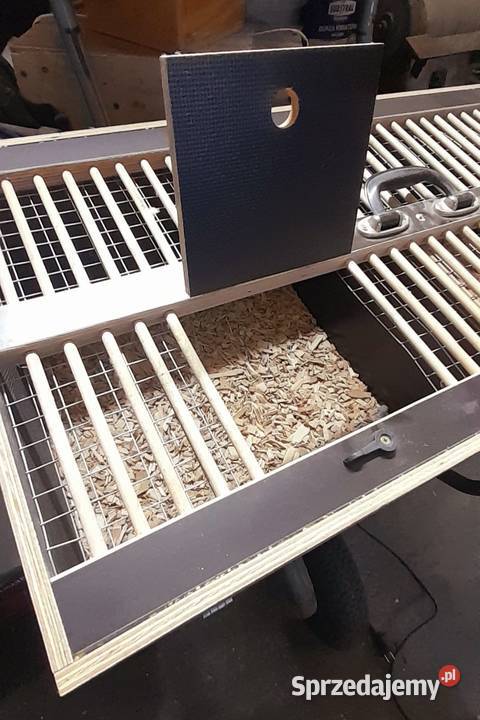 Transportówka ptaków wielkopolskie Ostrów Wielkopolski