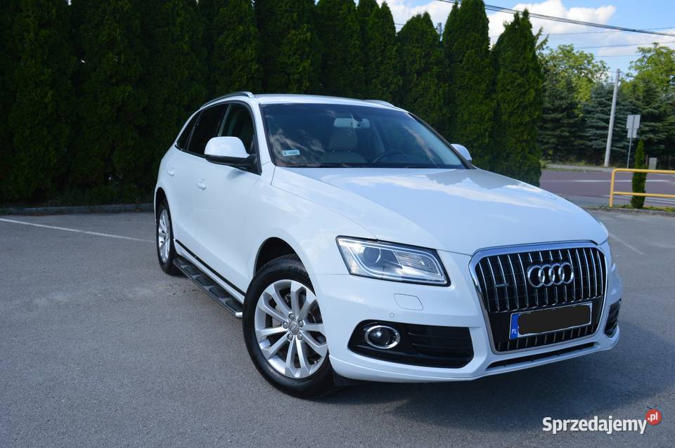 Audi Q5 20 177 Quattro Audi Łańcut