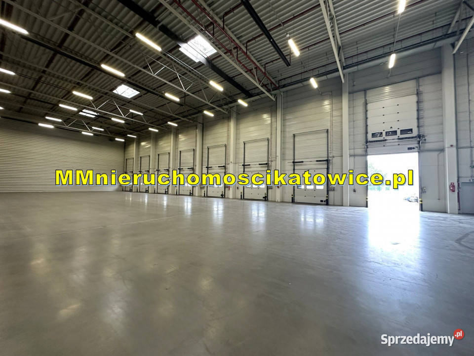 Magazyn do wynajęcia z regałami Katowice A4 2480m2