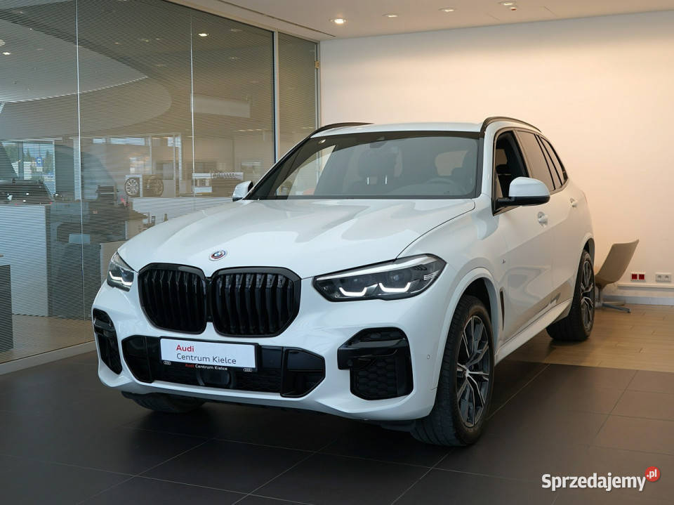 BMW X5 X5 xDrive m25d AktywnyTempomat Kamera światła LED X5 Kielce