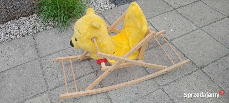 Miś na biegunach stan