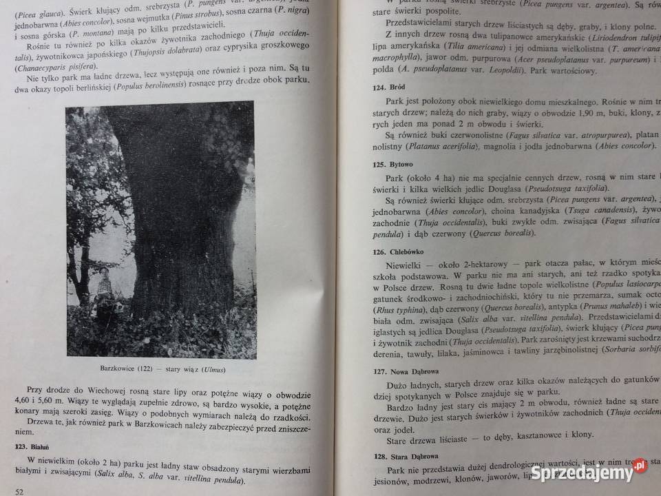 3031 Parki Wiejskie Województwa Szczecińskiego Szczecin