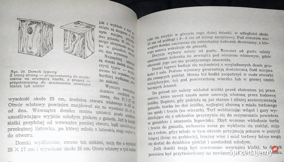 Papużki faliste Jan Landowski Chełm