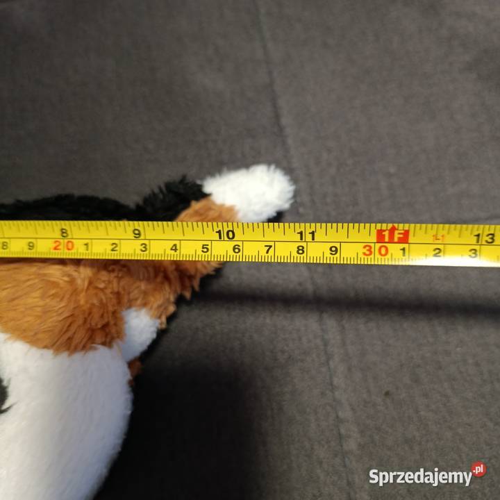 piesek maskotka pluszak kolejny wielkopolskie Poznań sprzedam