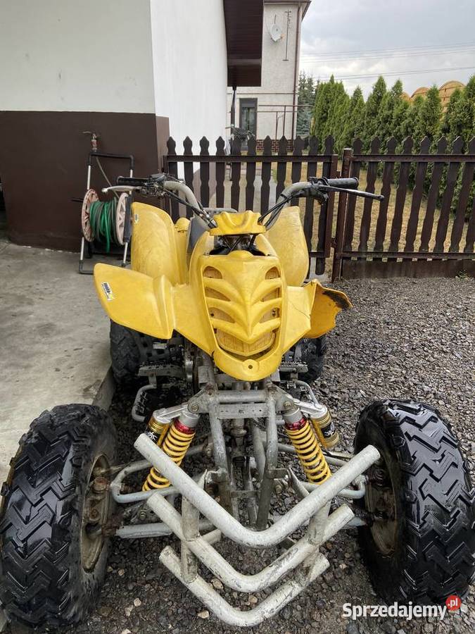 Quad 250cc 4wsteczny Bashan Dulcza Wielka