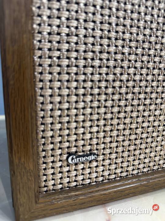 Kolumny głośnikowe Carnegle 90 Słuchawki i głośniki Łapy