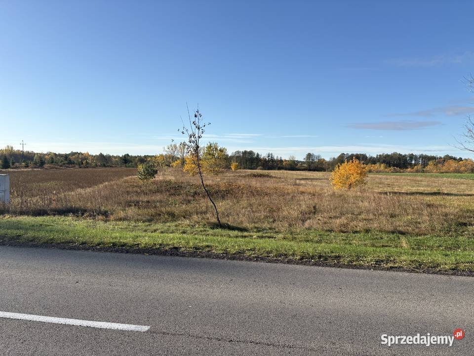 Syndyk sprzeda Sworzyce