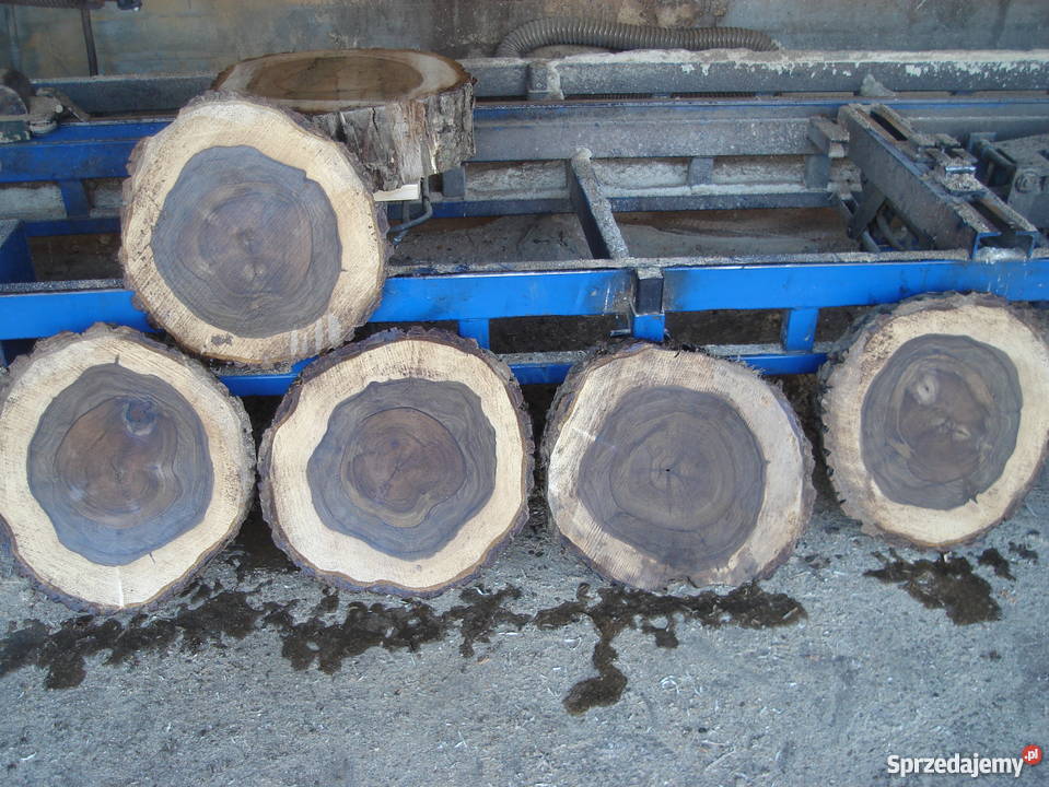 Bruk drewniany kosta drewniana pieńki plastry do małopolskie Izdebnik