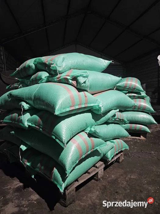 Sprzedaż owsa opałowego zamiennik pelletu i Turów