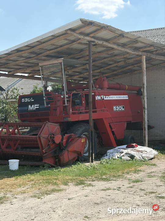 Sprzedam Bizon rekord Z058 i Massey Ferguson Sieczkarnia-rozdrabniacz Zbożowe Zakrzew