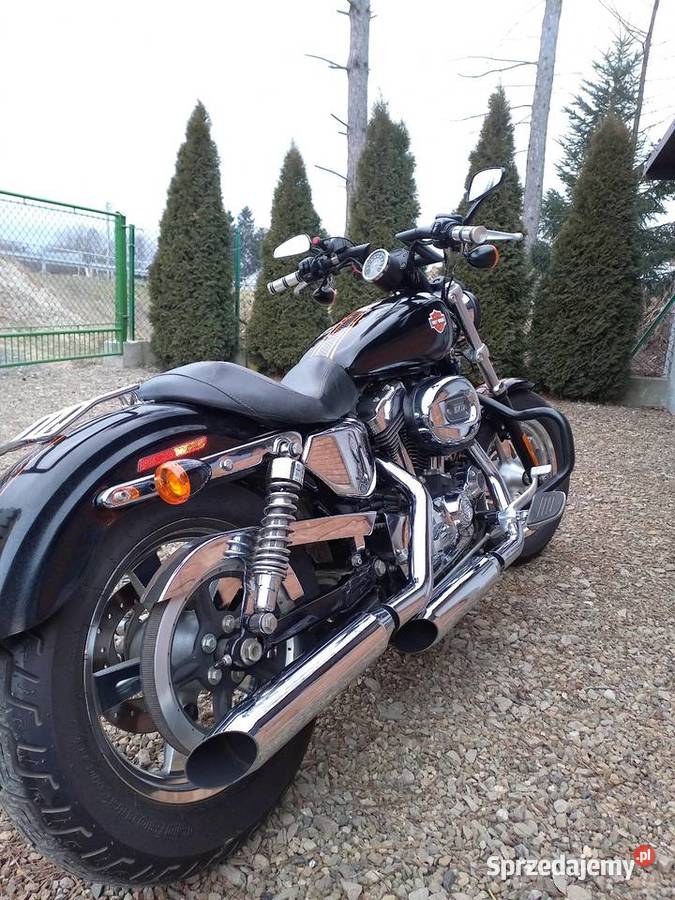 Harley davidson sportster castom 1200 sprzedam