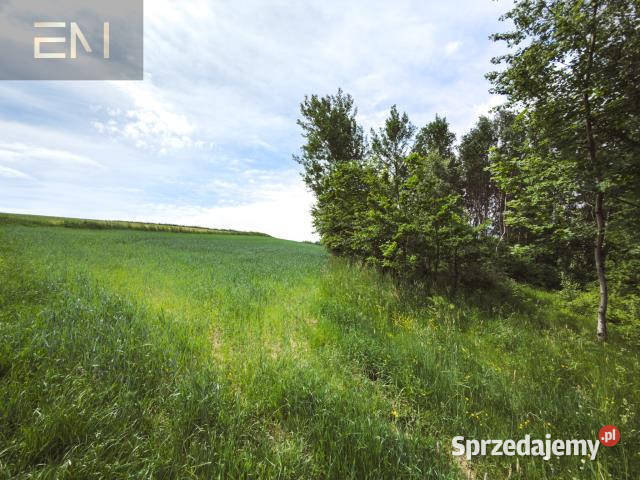sprzedaży gruntu 4600m2 Szufnarowa podkarpackie