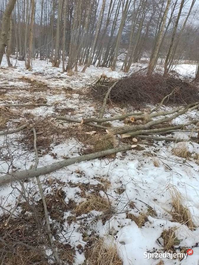 Wycinka drzew i koszenie trawy dolnośląskie Boguszów-Gorce