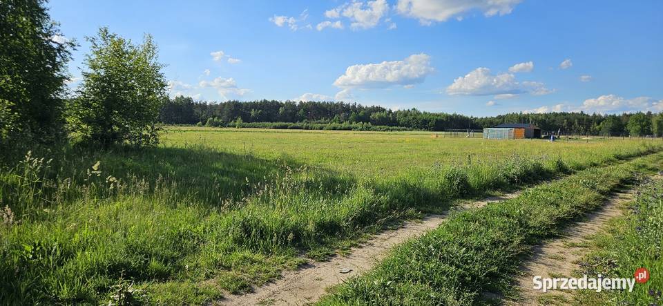 Działka bud Bobrowniki 1076M2 1208M2 WZ dookoła mazowieckie sprzedam