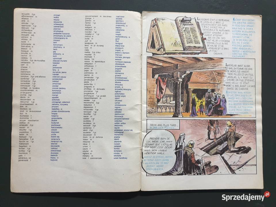 Kazimierz Wielki Casimir le Grand komiks