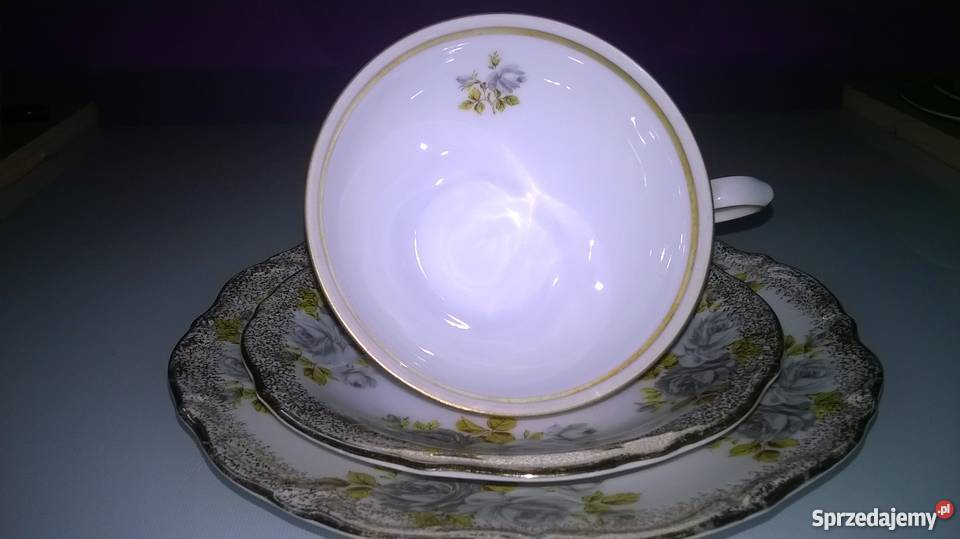 wspaniałe róże winterlinga Kolekcje Katowice