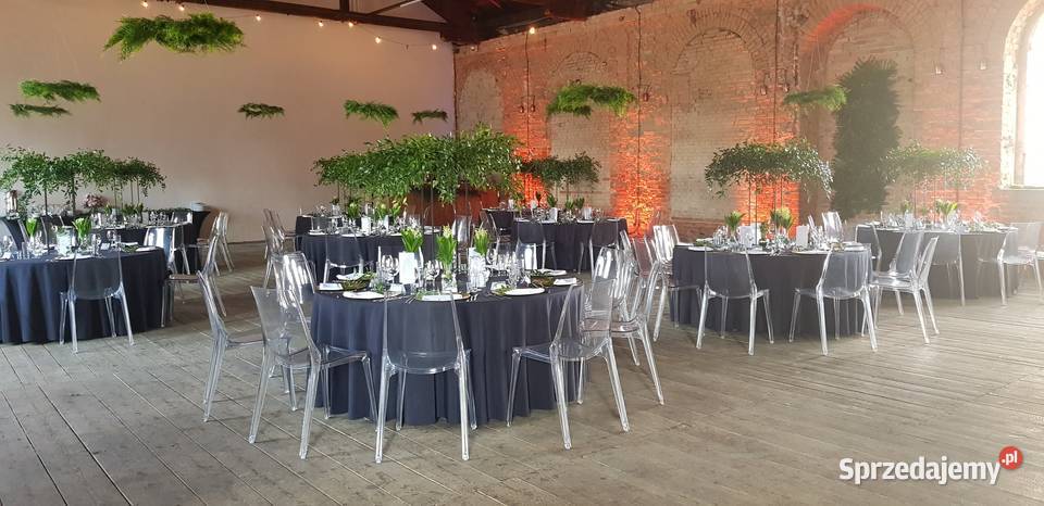 Wodzirej na imprezę Wodzirej na wesele Pozostałe Warszawa