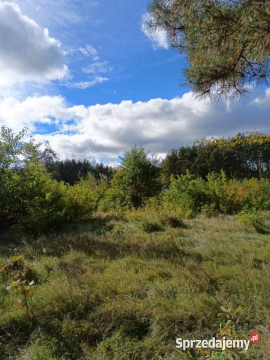 DZIAŁKA INWESTYCYJNA DĄBRÓWKA GMINA LUZINO 308m2