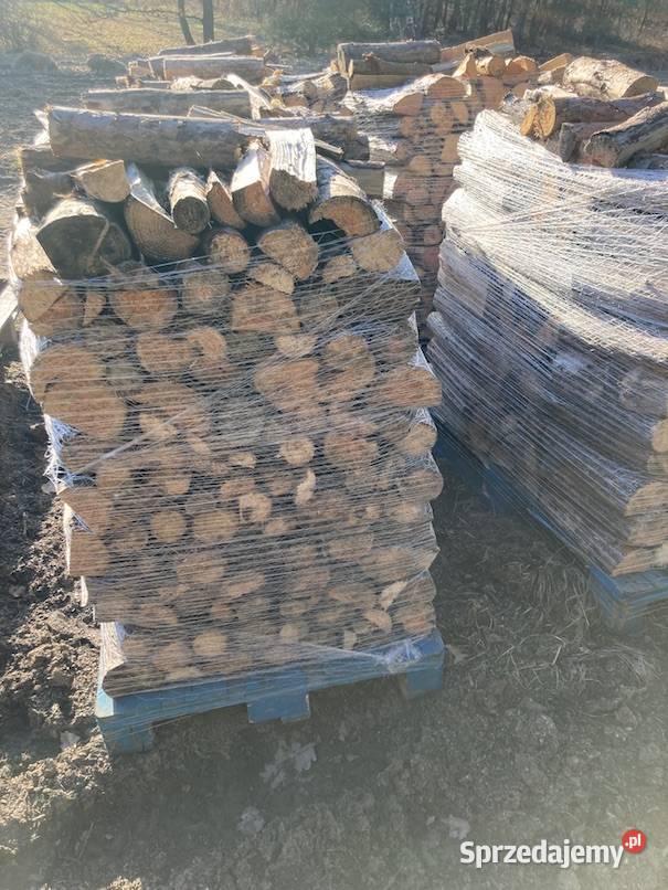 Suche Drewno Kominkowe Brzoza Warszawa Piaseczno