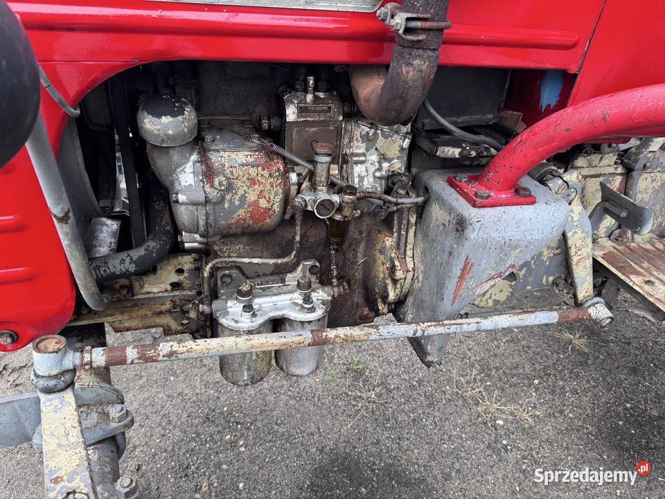 Traktor ciągnik rolniczy Zetor 2011 Majorek 2 Gniezno