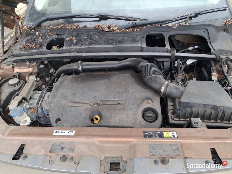 Land Rover Evoge 22 Diesel Anglik rej diesel Range Rover Evoque Mrągowo