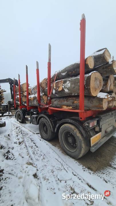 Scania R Scana R560 kłonice HDS przewóz drewna Sanok