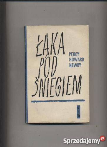 Łąka pod śniegiem Szczecin