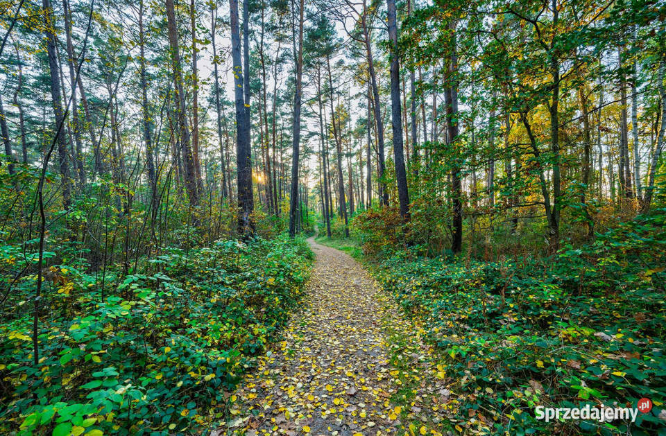 Działka morzem w Jarosławcu piaszczystej plaży zachodniopomorskie