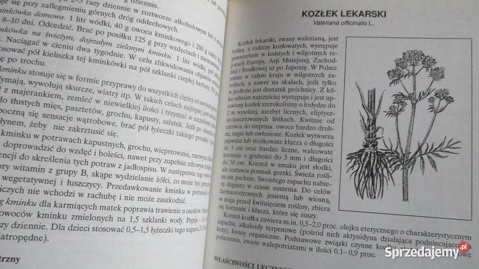 Apteka natury Poradnik zdrowia J Górnicka Łódź