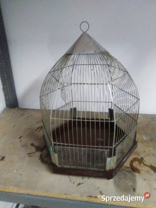 Klatka ptaków