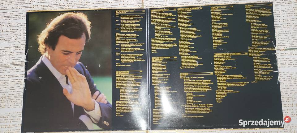 Płyta winylowa Julio Iglesias kujawsko-pomorskie Wąbrzeźno