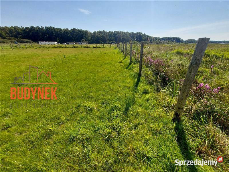 Działka rekreacyjna Dąbki Sprzedaż zachodniopomorskie