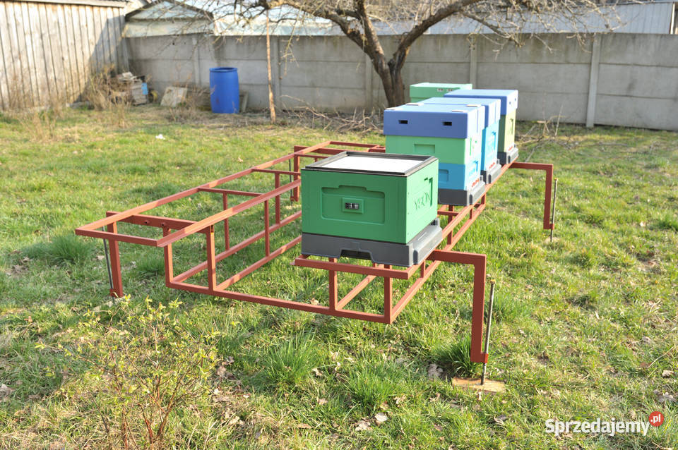 Zabudowa przyczepki platformą do przewozu uli świętokrzyskie Odrowąż