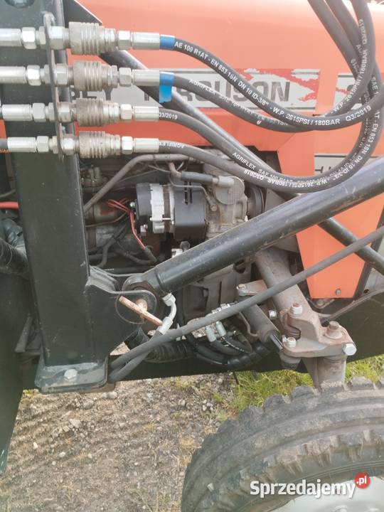Massey Ferguson 255 sprzedam