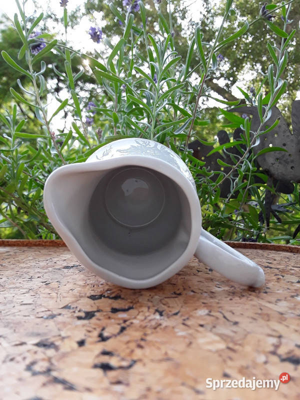 Mlecznik porcelanowy Włocławek biały Warszawa