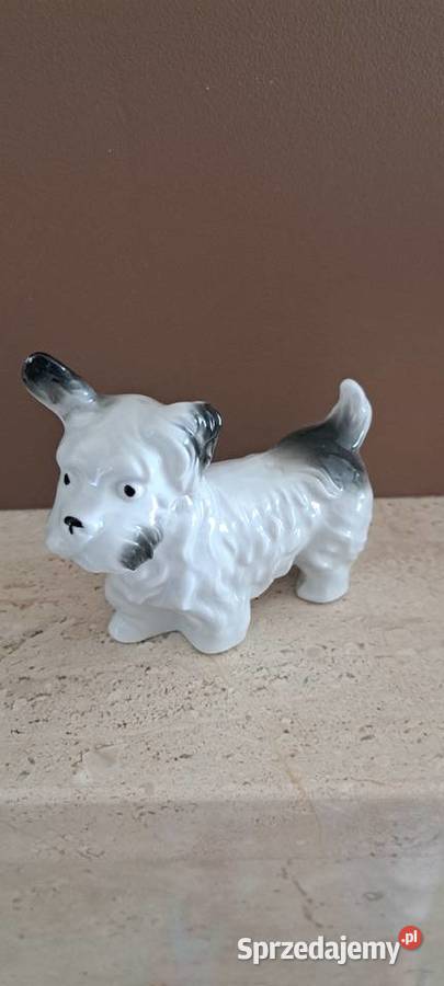 Sznaucer figurka porcelanowa kolekcja stary Poznań