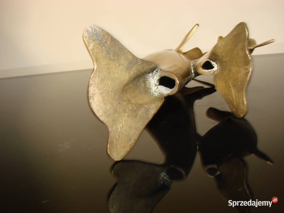 Delfiny mosiężne Pruszcz Gdański