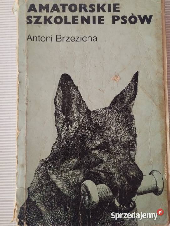 Amatorskie szkolenie psów Olkusz sprzedam