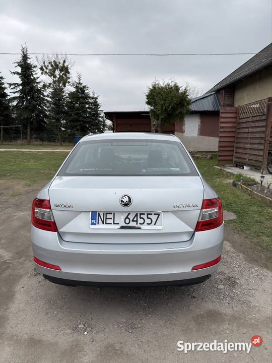 Skoda Octavia 3 2015 20TDI Polski Salon Ełk
