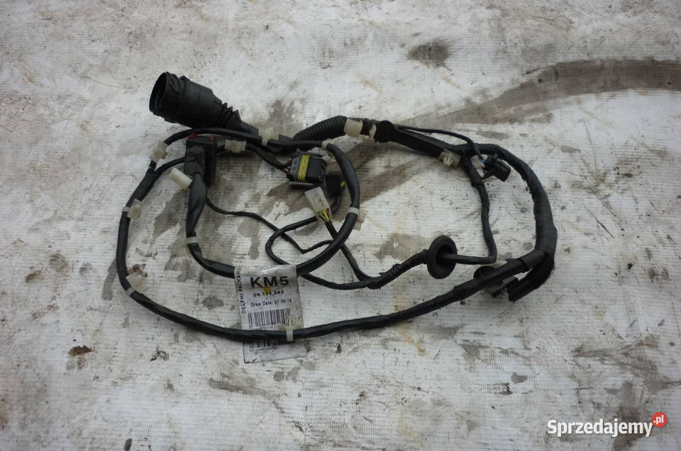 Wiązka drzwi Opel Vectra B Pobiedziska